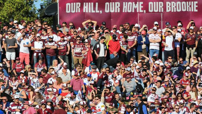Manly’s owners have revealed grand new plans for dilapidated Brookvale ...