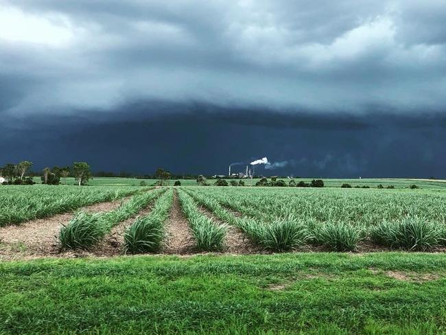 Wild weather warning, flash flooding likely in still soaked region