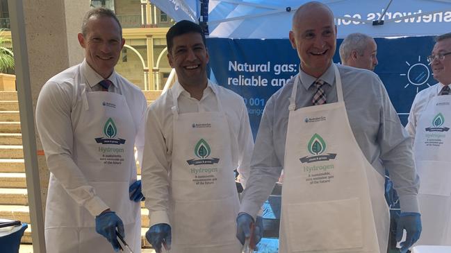 Energy, Renewables and Hydrogen Minister Mick de Brenni, MP Lance McCallum and Regional Development, Manufacturing and Water Minister, Member for Gladstone Glenn Butcher at today's hydrogen BBQ at Queensland Parliament’s Speakers Green.