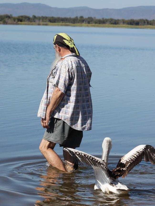 NQ Wildlife carer Chris Bell with Peggy the pelican before her release at Ross River Dam. Photo: KAT COOK