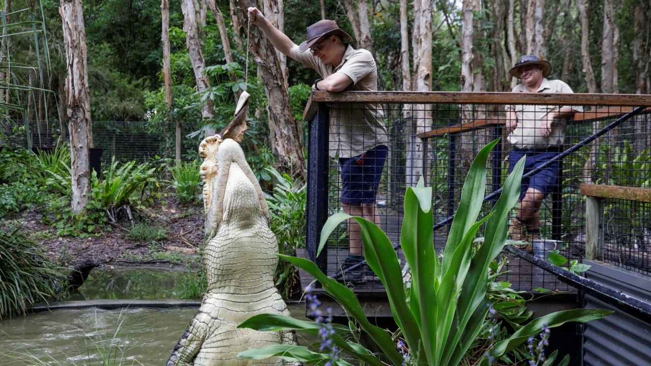 North Queensland tourism facing a 'confidence crisis' due to border closures