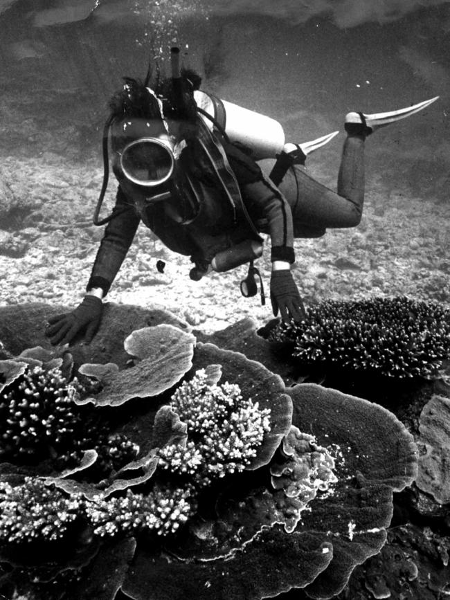 Scuba diving on the reef, 1979. Picture: Australian Tourist Commission