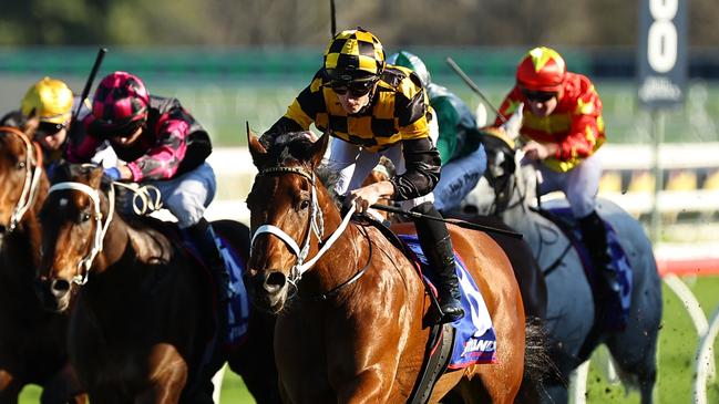 Joliestar is among The Everest options for jockey James McDonald. Picture: Jeremy Ng/Getty Images