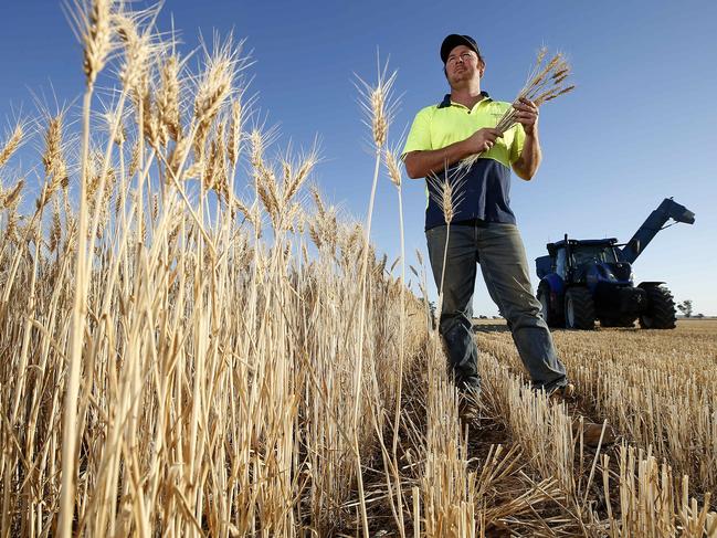 Stewart Hamilton, harvesting wheat at his property near Wooroonook,  Picture Yuri Kouzmin