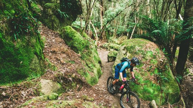 Blue Derby Pods Ride rider on Atlas Trail near mountain bike capital of Derby, Tasmania. Picture credit: Blue Derby Pods Ride