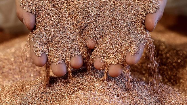 The Bullabulling tenements are prospective for gold and lithium discoveries adjacent to MI6’s project. Pic: Getty Images.