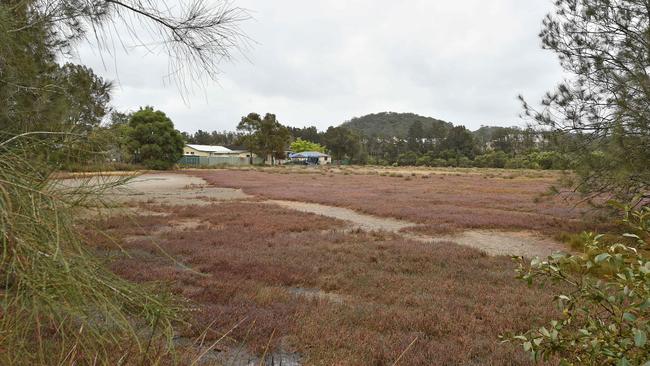 Davistown Wetlands contain sensitive ecological communitieis. Picture: AAP / Troy Snook)