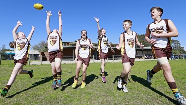 Waverley Park Hawks Junior Football Club has a $300K commitment from Labor to upgrade its 40-year-old pavilion. Picture: Valeriu Campan