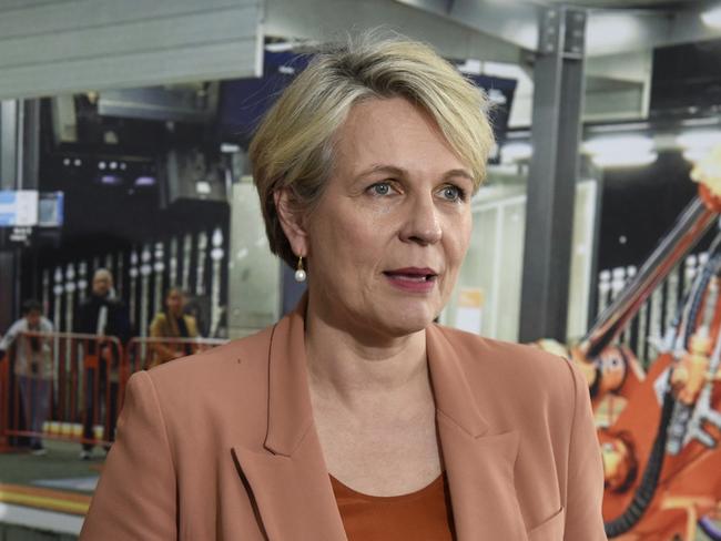 MELBOURNE, AUSTRALIA. NewsWire Photos. AUGUST 27, 2024. Tanya Plibersek, Federal Minister for the Environment, visits Pro-Pac Packaging in Melbourne. Picture: NewsWire/ Andrew Henshaw