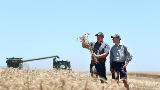 Partners in crops: John Gladigau and Robin Schaefer have transformed two farms into one thriving business.