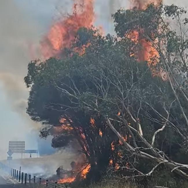 The freeway was closed while crews attacked the fire. Picture: Facebook/Jess Bathgate