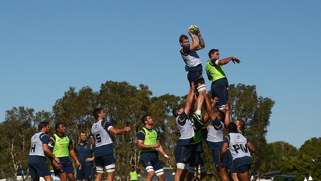 Ben McCalman of the Wallabies takes a lineout ball during a training session at Sunshine Coast Stadium.