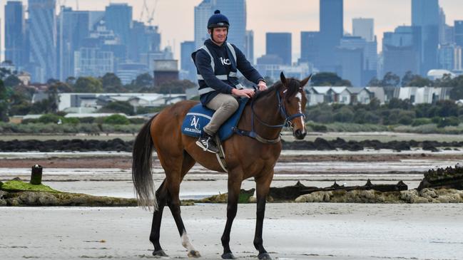 Zaaki is ready to rumble in the Mackinnon Stakes on Saturday. Picture: Getty Images