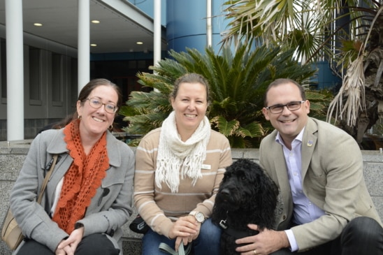 Hope the therapy dog calms youth offenders