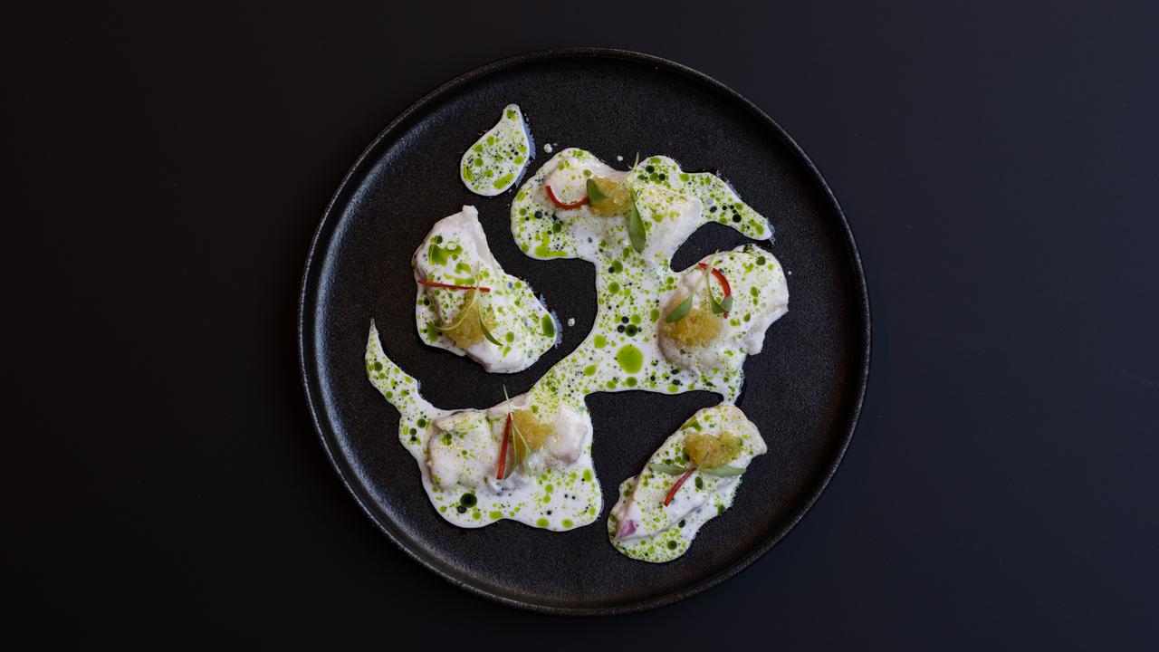 Cured Kingfish with coconut milk, finger lime, chilli and herbs at Kid Curry, Fortitude Valley. Picture: David Kelly