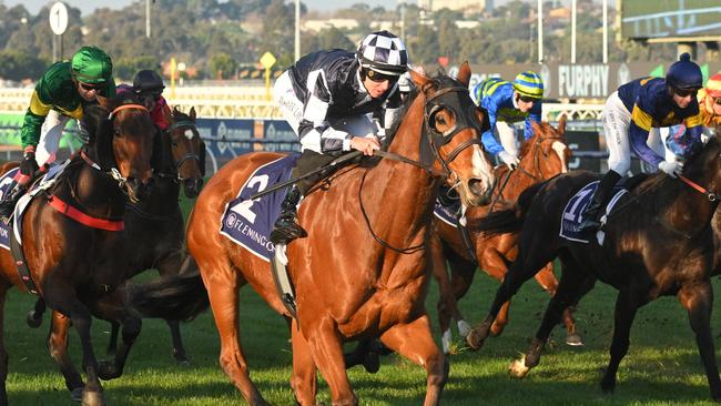 It'sourtime went one better in the Santa Ana Lane Sprint Series Final at Flemington on Saturday. Picture: Vince Caligiuri/Getty Images