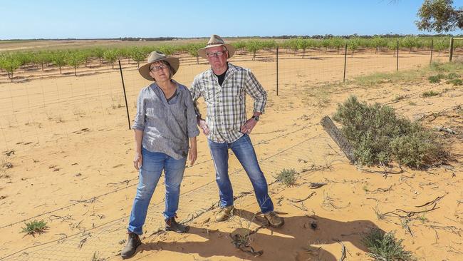 Trevor Dobbyn and his wife Neth Hinton believe the proposed plant will impact their land, which plays home to endangered birds and other wildlife. Picture: Darren Seiler