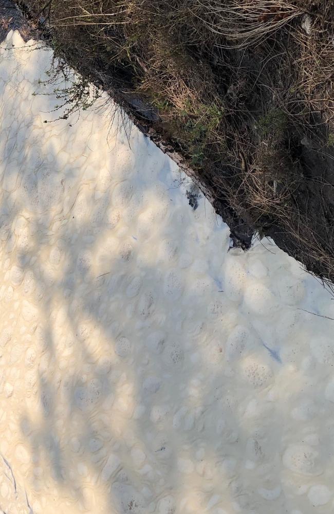 White foam has been spotted collecting in Manly Lagoon. Picture: Julie Cross