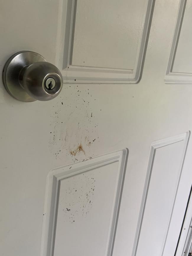 A large foot print was left on the front door of Ruth Palmer's house. Picture: SUPPLIED