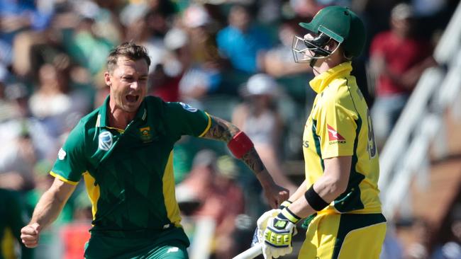 South Africa’s Dale Steyn celebrates the wicket of Australia’s Steve Smith.