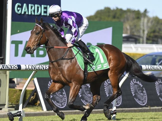 Ljungberg (Adam Hyeronimus) at Rosehill Gardens on July 1 2023. Picture: Bradley Photos