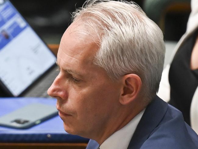 CANBERRA, AUSTRALIA, NewsWire Photos. FEBRUARY 29, 2024: Andrew Giles, Minister for Immigration, Citizenship, Migrant Services and Multicultural Affairs during Question Time at Parliament House in Canberra. Picture: NCA NewsWire / Martin Ollman