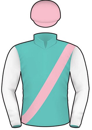 2019 Melbourne Cup runner Finche.