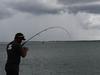 ‘Grave concern’: Toxic metals rising in Darwin fishing spots