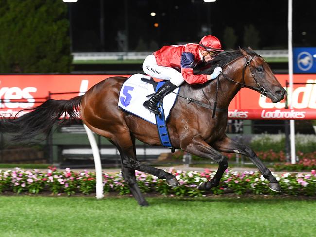 Schwarz ridden by Blake Shinn wins the Clamms Seafood Australia Stakes at Moonee Valley Racecourse on January 24, 2025 in Moonee Ponds, Australia. (Photo by Brett Holburt/Racing Photos via Getty Images)