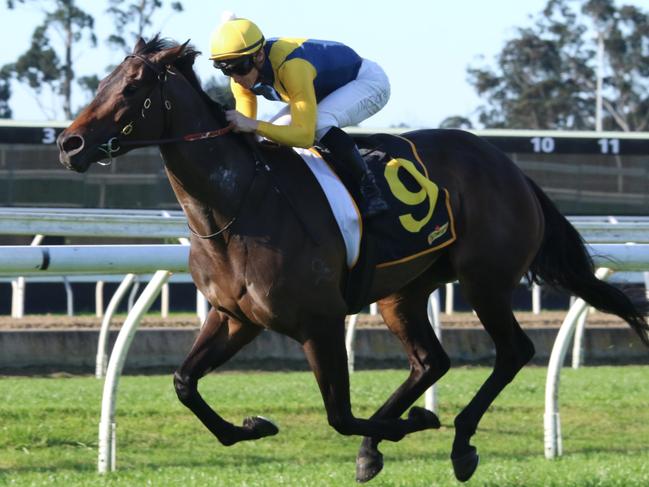 Bonita Queen can make it two from two at Warwick Farm on Wednesday. Picture: Grant Guy