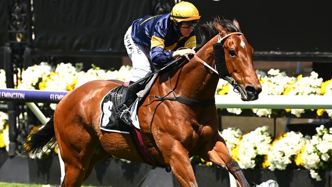 William Pike gives Outrageous a textbook ride to take victory in the Grinders Coffee Roasters Trophy at Flemington. Picture: Quinn Rooney/Getty Images for the VRC