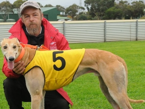 Greyhound trainer Wade Green has been suspended from the sport for seven months after stewards repeatedly found his dogs being kept in substandard conditions in kennels at Rockbank and Parwan.