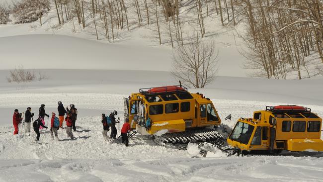 And the Powdercats gear up for a day on unmarked tracks. Sensational! (even for the not so-experienced skier)