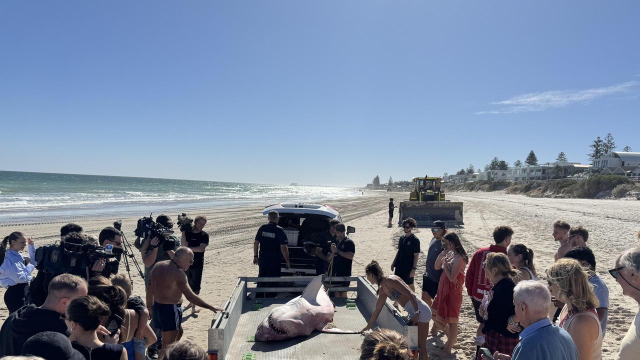 The video of the attempted rescue and the chilling follow-up has spread rapidly on social media. Picture: Benjamin Neville @offpiste4wdtours
