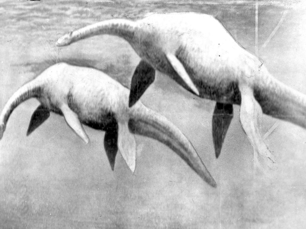 British naturalist Sir Peter Scott’s impression of the Loch Ness monster.