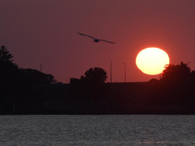 NSW has seen some of its hottest September temperatures ever this weekend. Picture: Dean Lewins/AAP