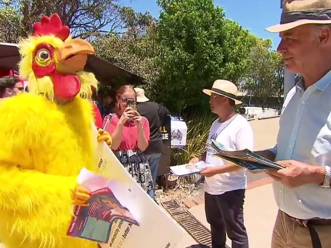 John Alexander campaigning in the seat of Bennelong ahead of a by-election this coming weekend. Picture: 9 NEWS