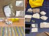 Gator gotcha: Police dog tracks perp, allegedly finds 1kg of meth