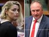 Joyce calls for Heard to be jailed if convicted