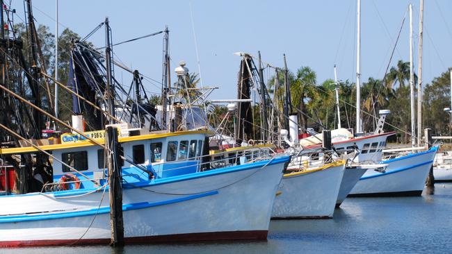 Ballina, NSW, the place for prawns, pelicans and other delights | The ...