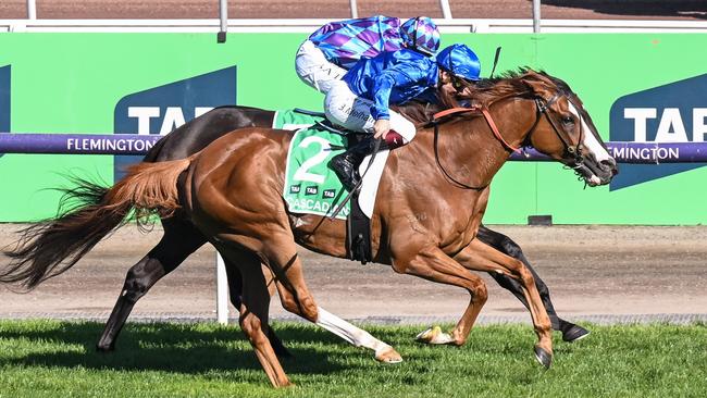 The recently retired Cascadian won the first Australian Cup in its new late-March timeslot. Picture: Racing Photos