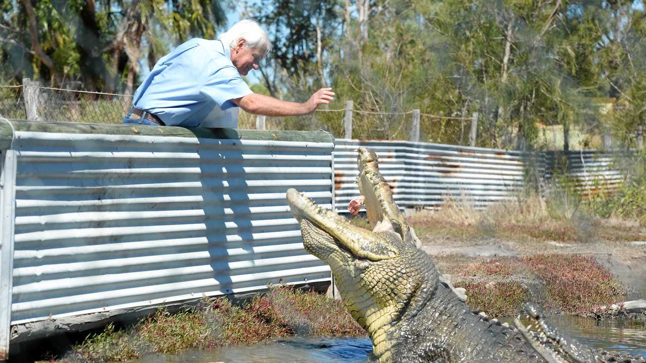 Hermès Australian Alligator Farm Controversy