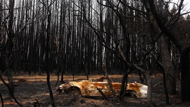 There have been calls for an SA All Stars charity match to raise funds for those affected by the recent bushfires across the state. Picture: Lisa Maree Williams/Getty Images