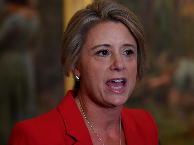 Labor Senator Kristina Keneally speaks to the media during a press conference at the NGV Australia in Melbourne, Saturday, May 11, 2019. A Federal election will be held in Australian on Saturday May 18, 2019. (AAP Image/Lukas Coch) NO ARCHIVING