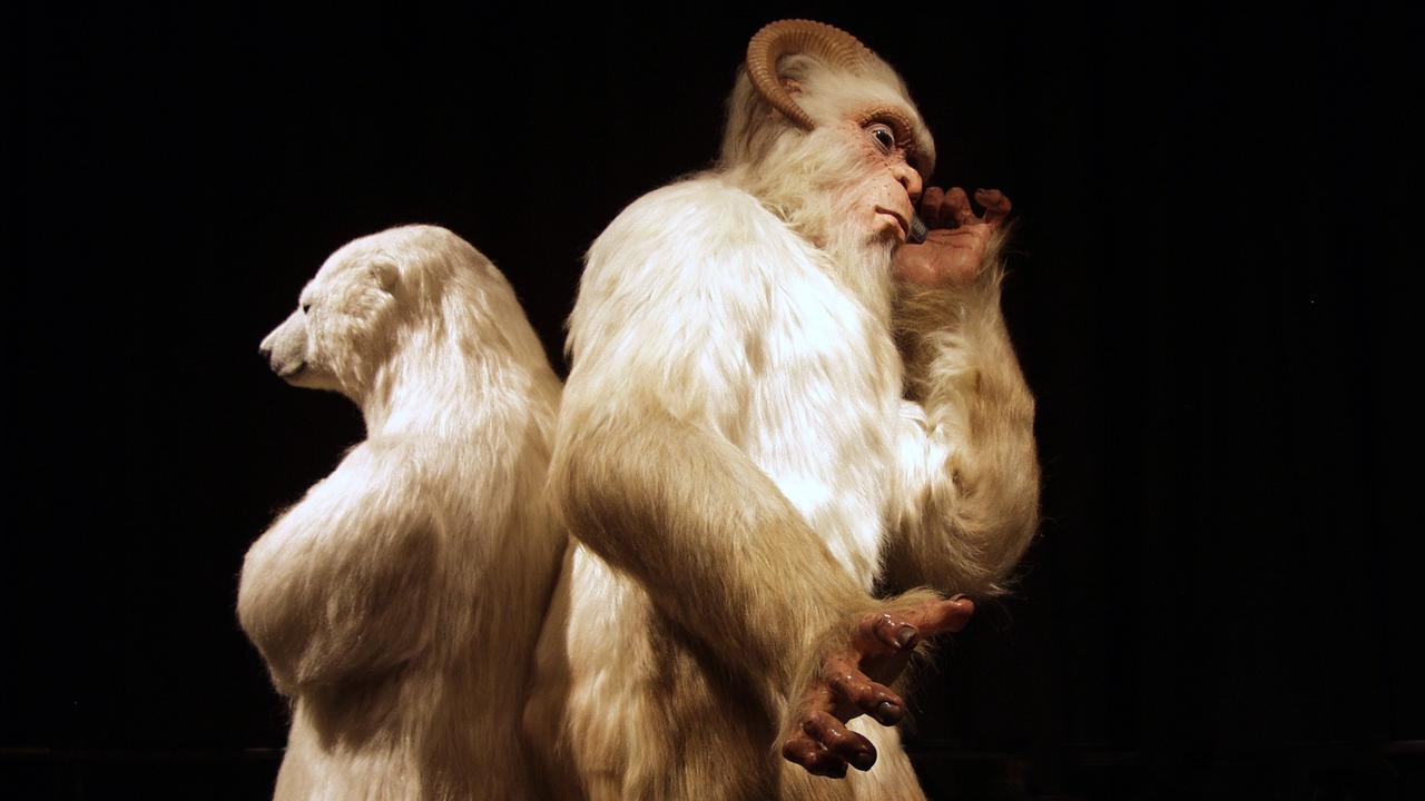 No one has ever taken a photo of a Yeti, but this is what one could look like, seen here with a model of a polar bear at Scienceworks, Victoria.