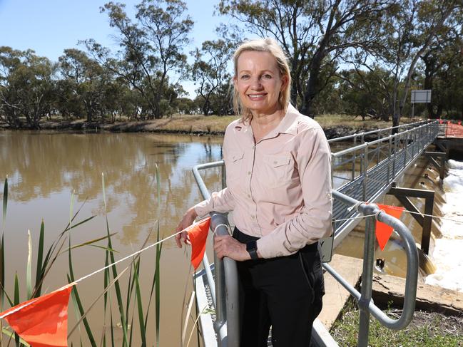 Environment Minister Sussan Ley. Picture: Richard Dobbins