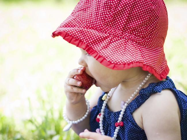 Summer is the perfect time to pick – and eat – fresh, locally-grown fruit. Picture: Supplied