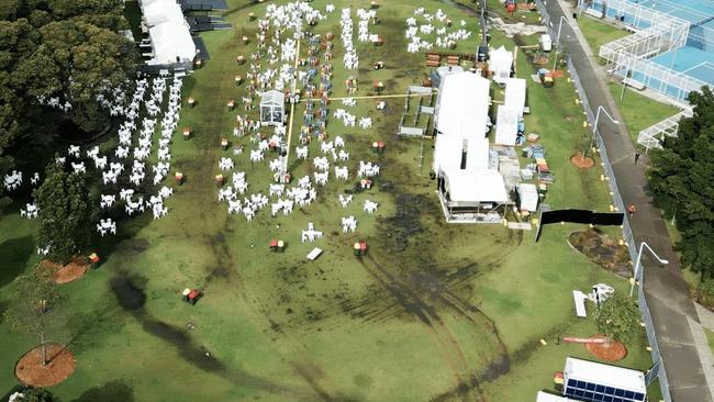Damage done to Prince Alfred Park in Surry Hills at last year's Night Noodle Market. Picture: Supplied