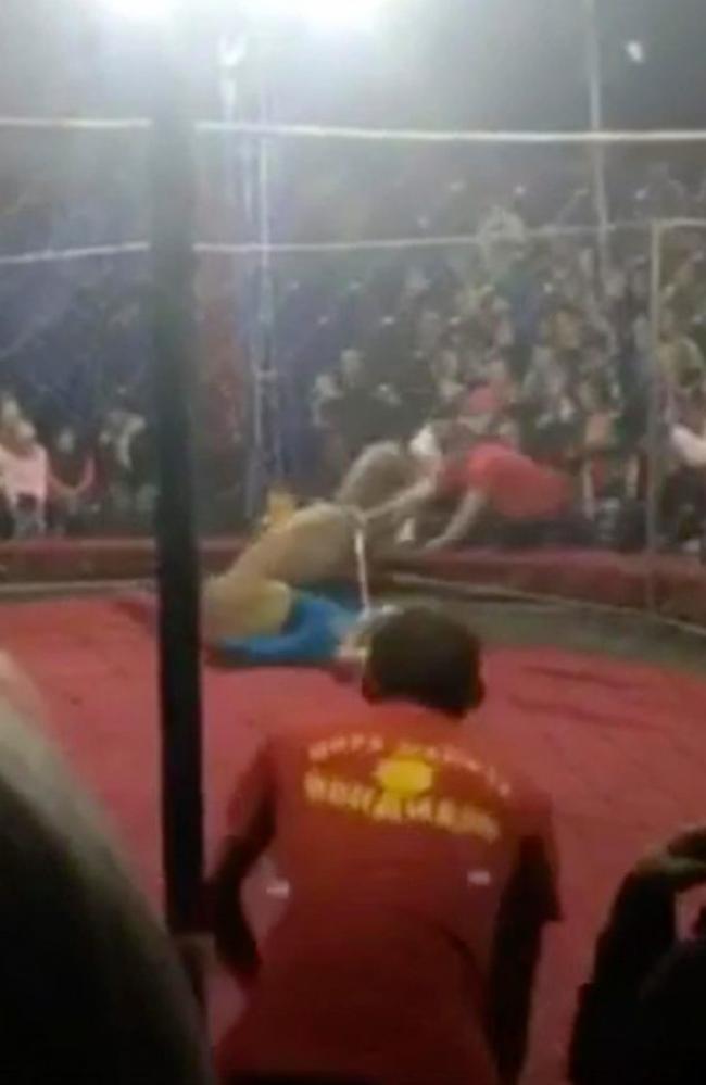 The beast pulled the girl into the ring and mauled in Russia. Source: East2West News