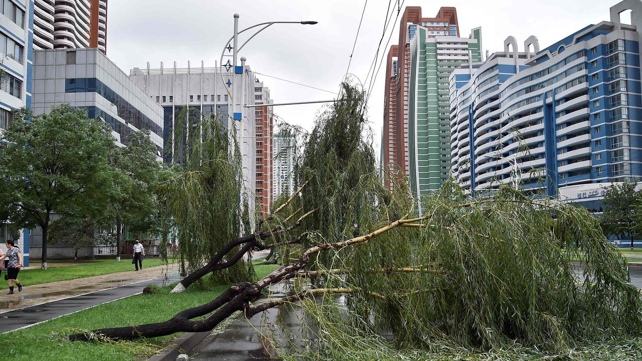 People walk past fallen trees as Typhoon Bavi passes by in Pyongyang on August 27, 2020. Picture: Kim Won Jin / AFP